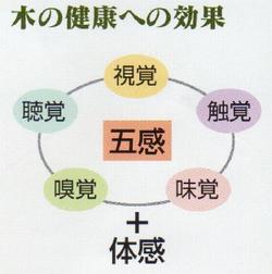 新築