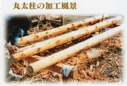 新築